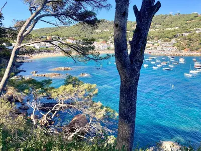 Plano de Apartment Bone 2 - Llafranc