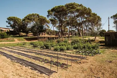 Jardín al aire libre en La Viña. Casa rural en el campo